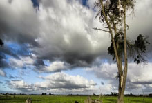 上海报批报建是做什么的